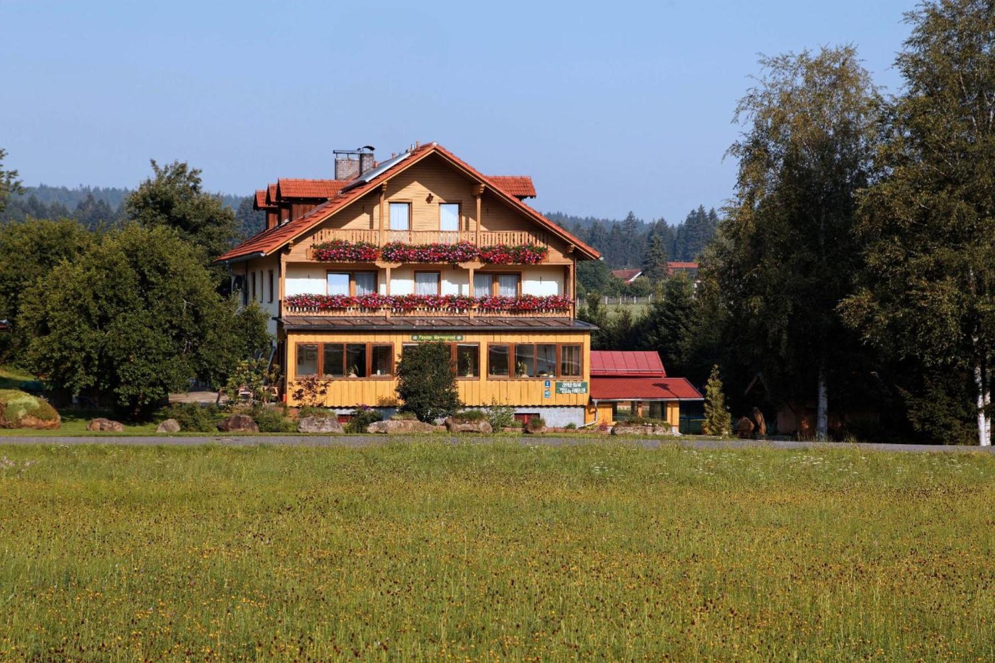 Pension Wiesengrund Neuschönau Exterior foto