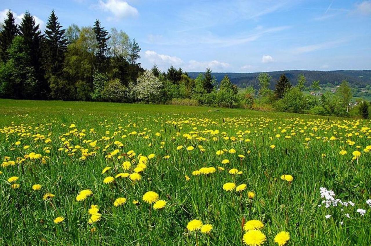 Pension Wiesengrund Neuschönau Exterior foto